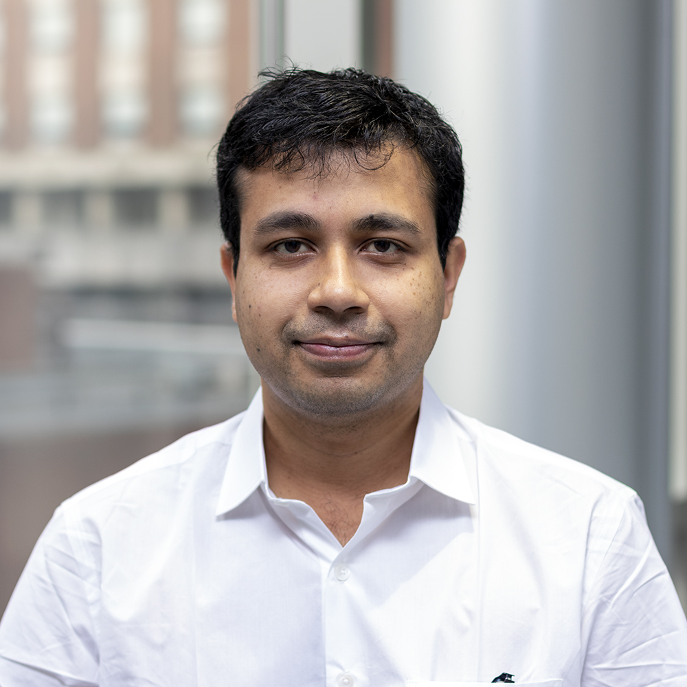Jishnu Das, faculty